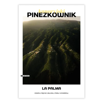 Kanaryjski Pinezkownik - La Palma