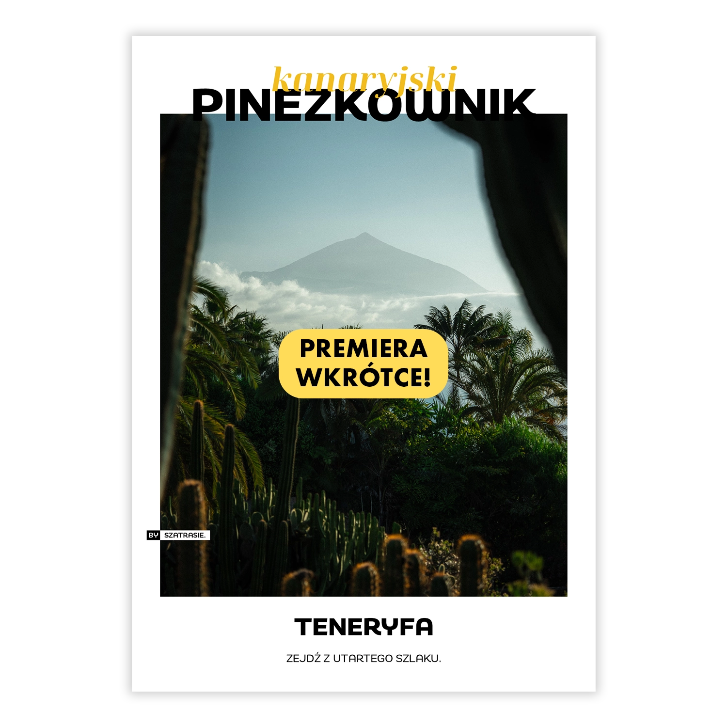 Kanaryjski Pinezkownik - Teneryfa